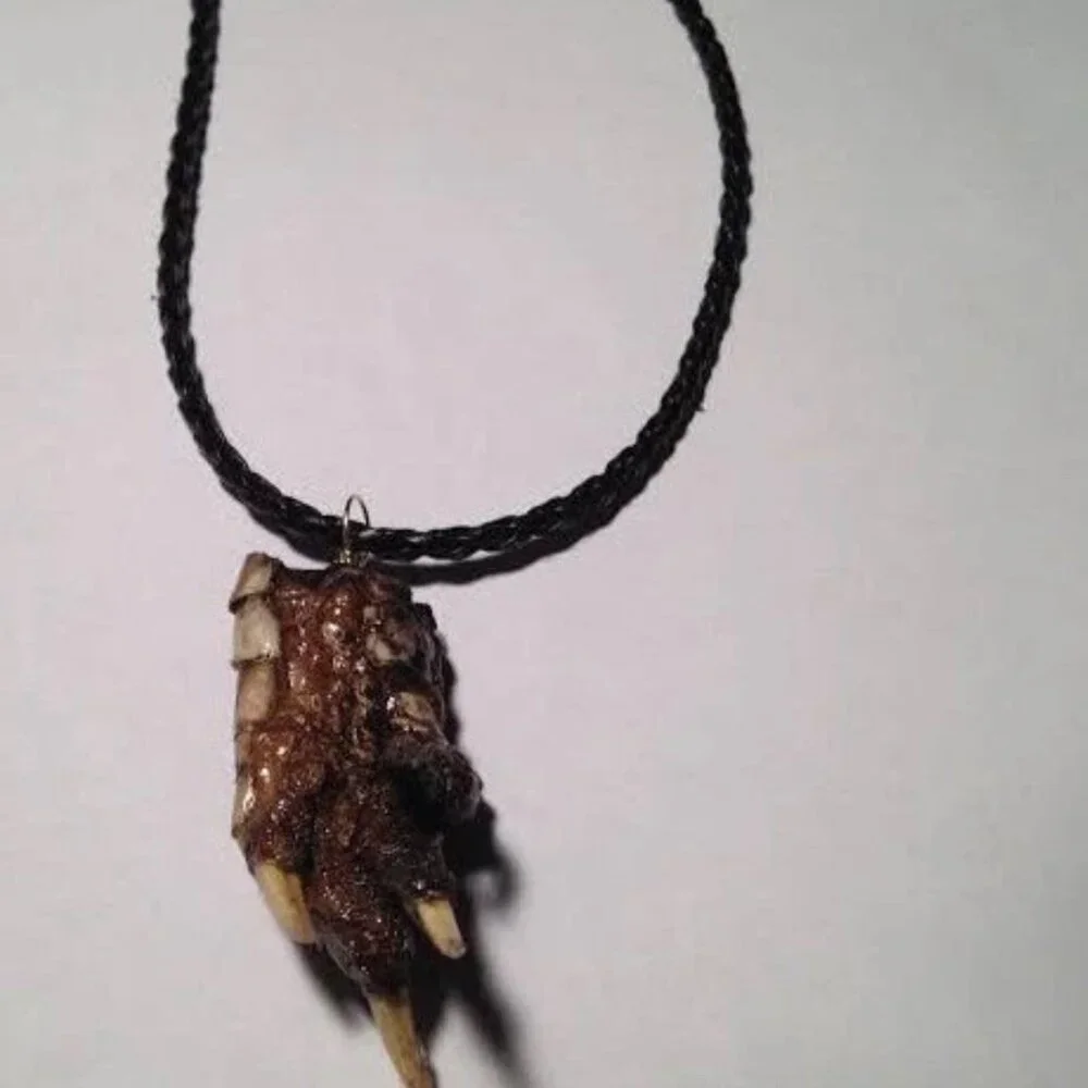Louisiana Alligator Foot Claw Taxidermy Necklace on Black Braided Leather Straps - Picture 3 of 4